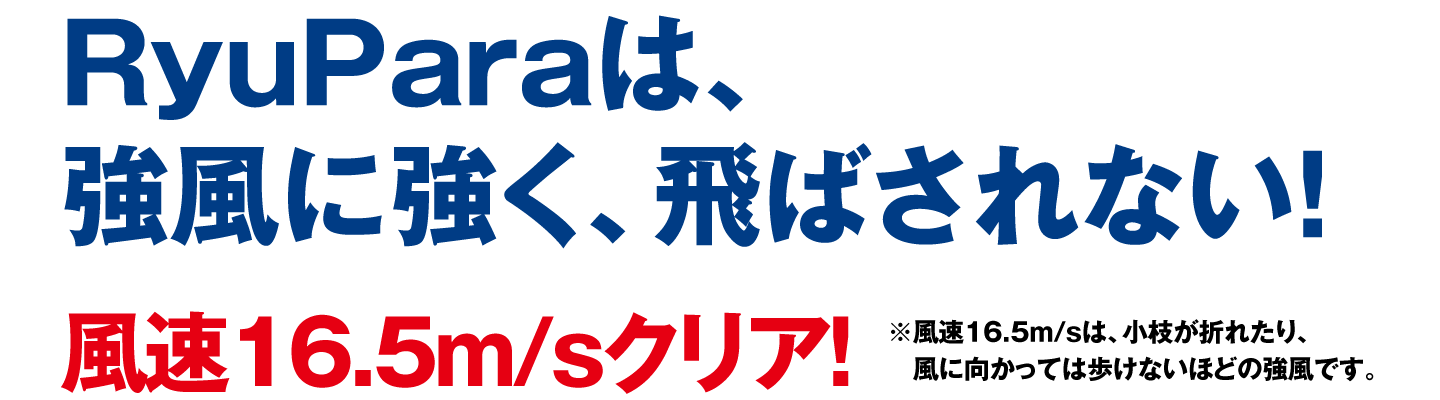 RyuParaは、強風に強く、飛ばされない！風速16.5m/sクリア!