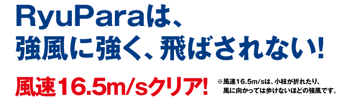 RyuParaは、強風に強く、飛ばされない！風速16.5m/sクリア!